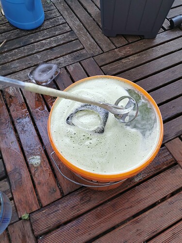 Growreport Bild 7