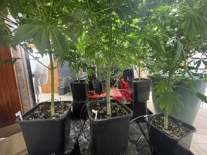 Growreport Bild 12