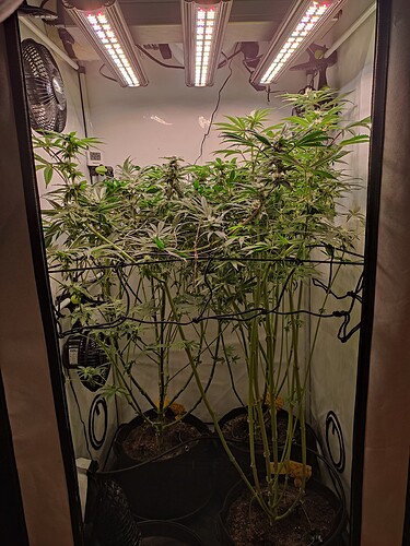Growreport Bild 30