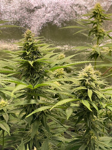 Growreport Bild 21