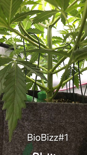 Growreport Bild 22