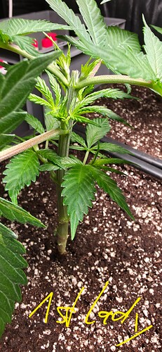 Growreport Bild 14