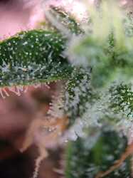 WhatsApp Bild 2024-06-12 um 17.10.05_fb56c55b