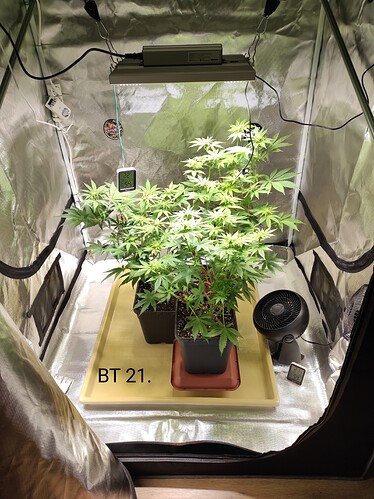 Growreport Bild 4