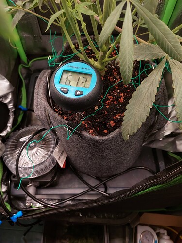 Growreport Bild 11