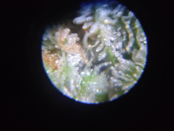 Growreport Bild 5