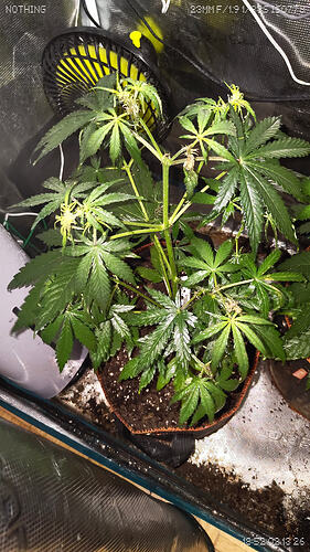 Growreport Bild 4