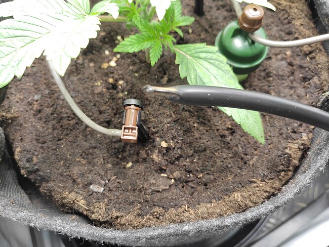 Growreport Bild 20
