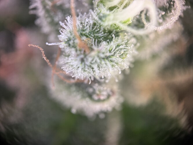 Growreport Bild 23