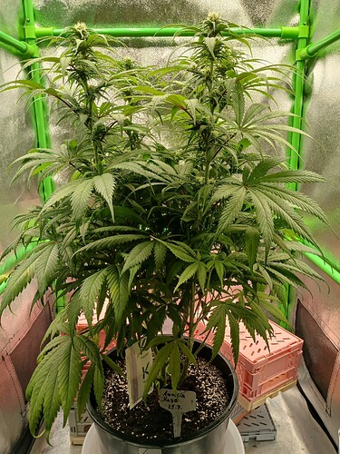 Growreport Bild 17