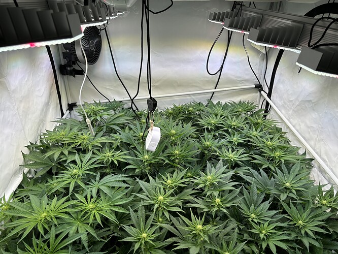 Growreport Bild 2