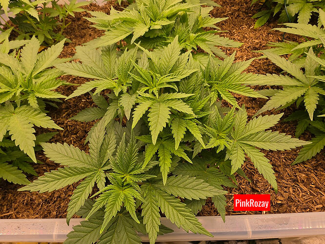 20260307_213432_edited_