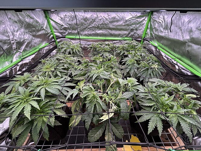 Growreport Bild 2