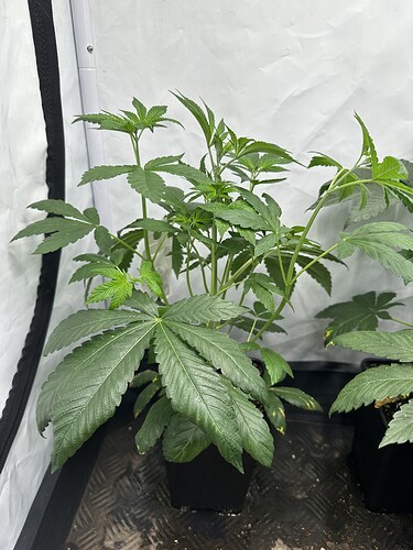 Growreport Bild 12
