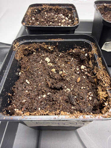 Growreport Bild 16