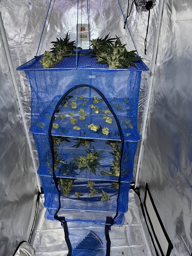 Growreport Bild 1