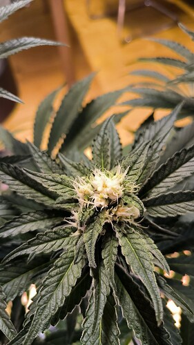 Growreport Bild 12