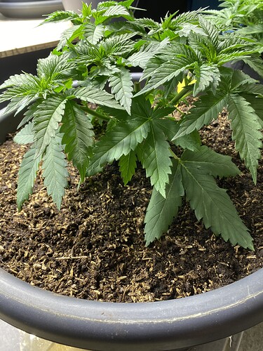 Growreport Bild 10