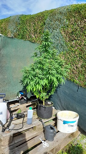 Growreport Bild 22