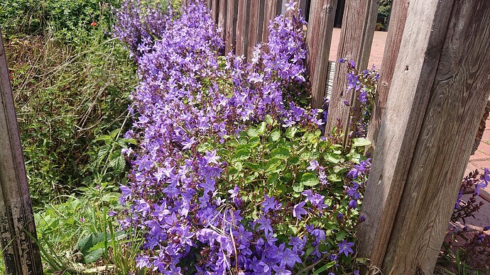 Growreport Bild 38