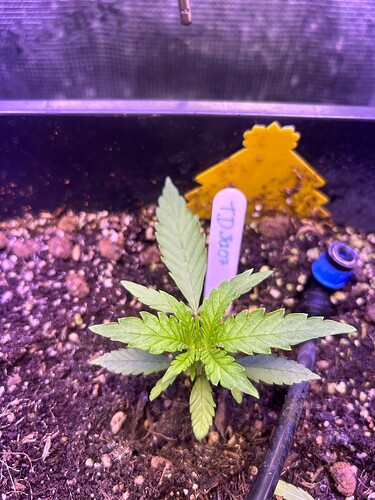 Growreport Bild 8