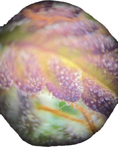 20260325_163149(1)