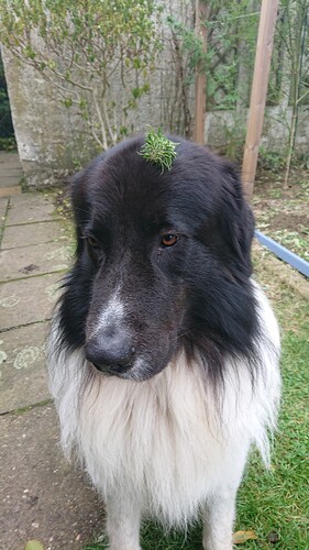 Growreport Bild 21