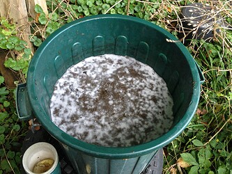 Growreport Bild 35