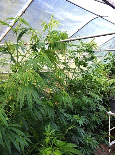 Growreport Bild 10