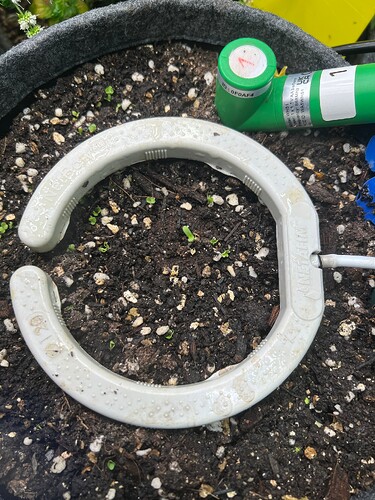 Growreport Bild 30