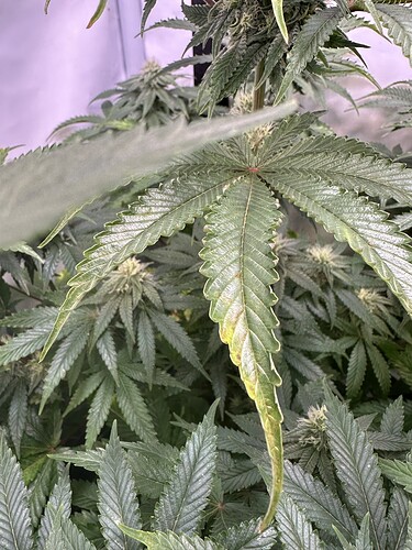 Growreport Bild 10