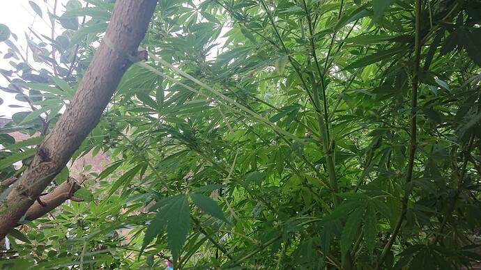 Growreport Bild 2