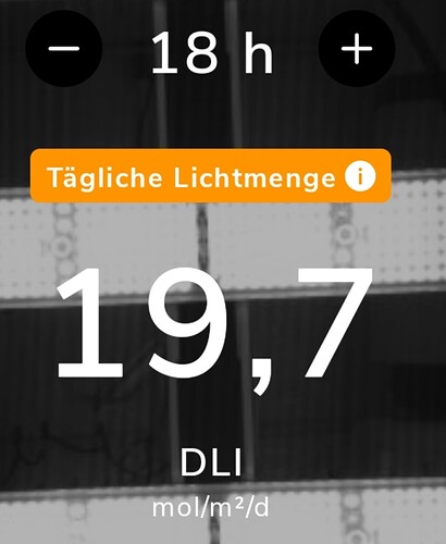Growreport Bild 24