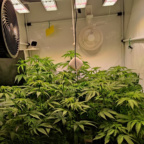 Growreport Bild 19