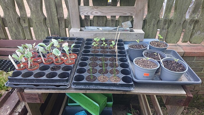 Growreport Bild 9