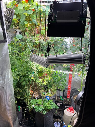 Growreport Bild 2