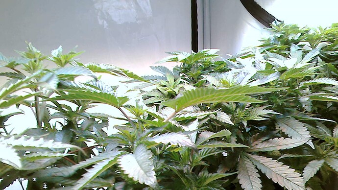 Growreport Bild 2