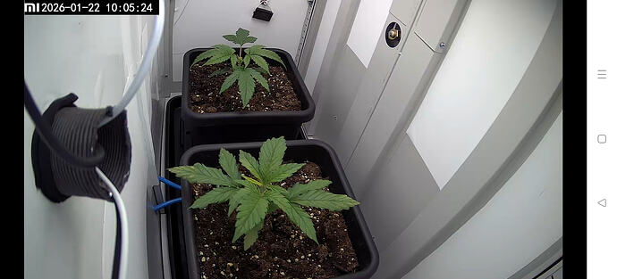 Screenshot_2026-01-22-10-03-27-86_89ed83f5c7ca8fa2c91fc75c50289338