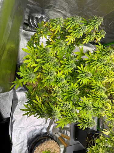Growreport Bild 11