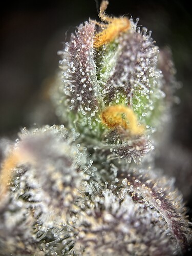 Growreport Bild 18