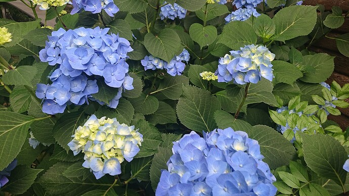 Growreport Bild 15
