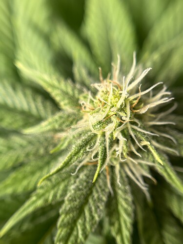 Growreport Bild 5