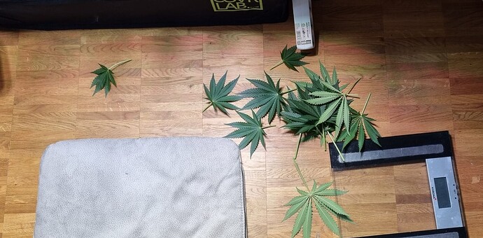 Growreport Bild 12