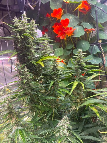 Growreport Bild 1