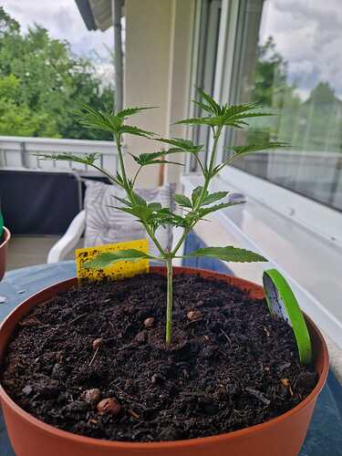 WhatsApp Image 2024-05-27 at 12.39.42