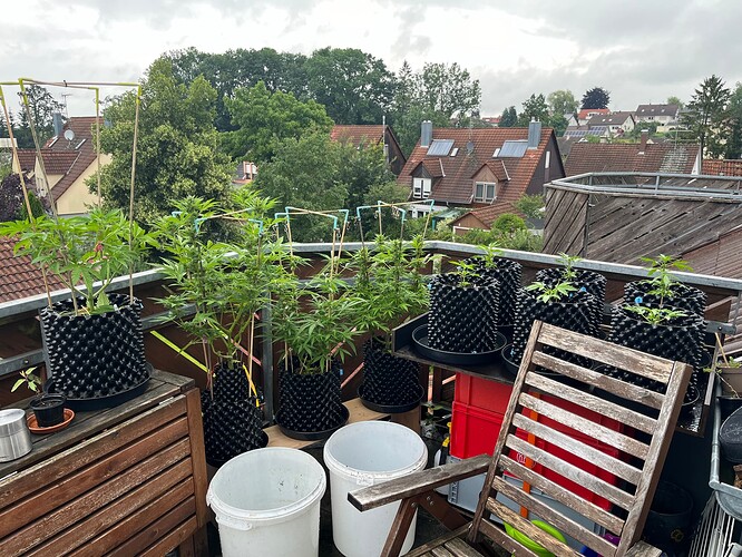 Growreport Bild 6