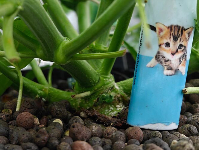 Growreport Bild 25