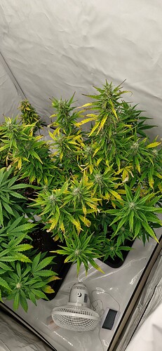 Growreport Bild 18