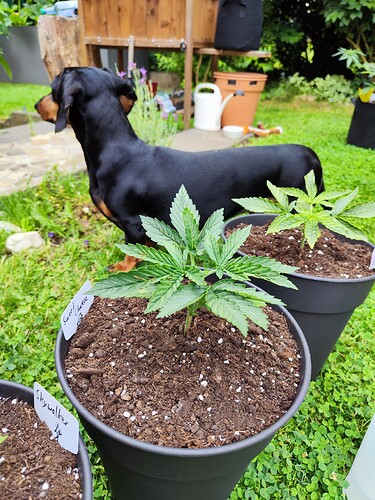 Growreport Bild 14
