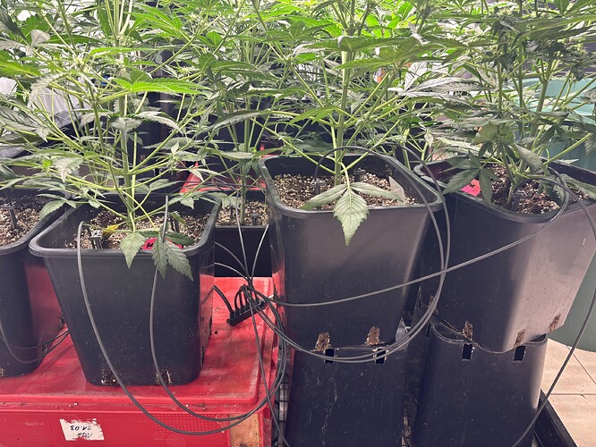Growreport Bild 16